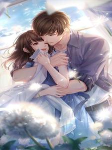 �紵�����߲�����